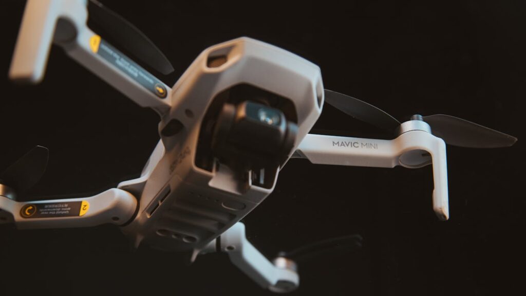 pexels photo 29222704.jpeg